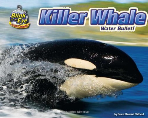 Beispielbild fr Killer Whale : Water Bullet! zum Verkauf von Better World Books