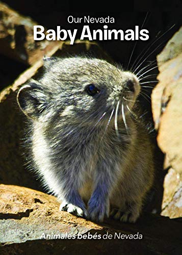 Stock image for Baby Animals Format: BoardBook for sale by INDOO