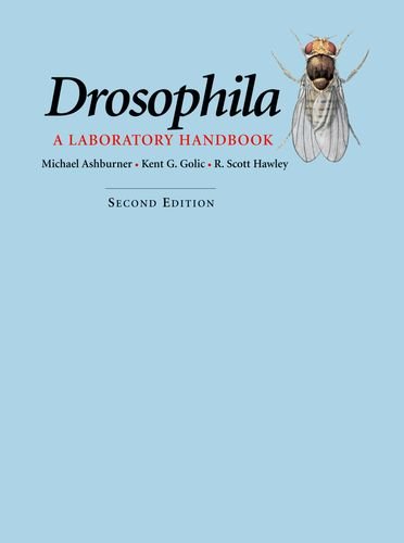 9781936113699: Drosophila: A Laboratory Handbook
