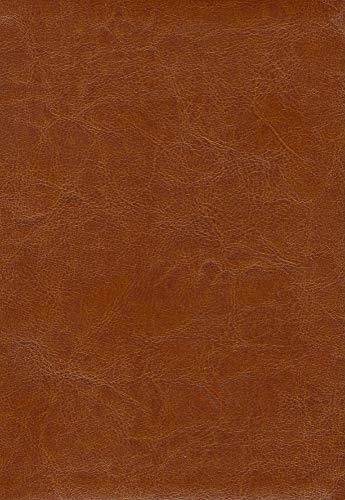 Stock image for Thompson Answer Bible - NIV - Simulated Leather for sale by Books From California