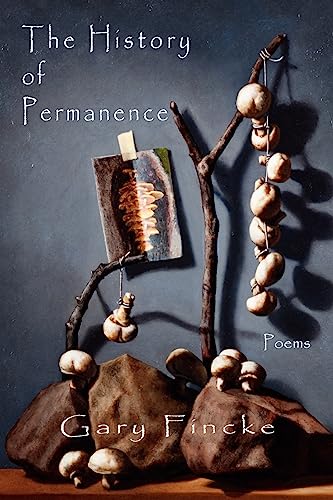 Stock image for History of Permanence for sale by Books From California