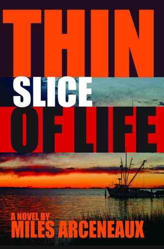 9781936205844: Thin Slice of Life