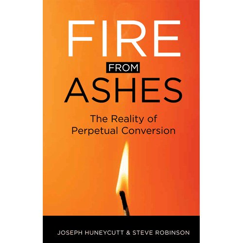 Stock image for Fire from Ashes: The Reality of Perpetual Conversion for sale by Half Price Books Inc.