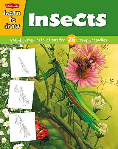 Imagen de archivo de Learn to Draw Insects: Learn to draw and color 26 insects, step by easy step, shape by simple shape! a la venta por Irish Booksellers