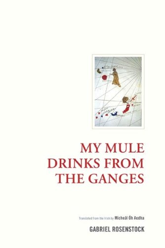 Imagen de archivo de My Mule Drinks from the Ganges A Travelogue Irish Research Irish Research Series a la venta por PBShop.store US