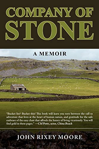 Imagen de archivo de Company of Stone : A Memoir a la venta por Better World Books