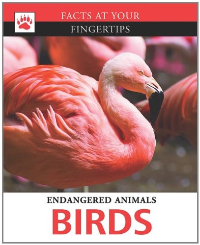 Imagen de archivo de Birds a la venta por Better World Books