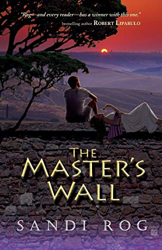 Beispielbild fr The Masters Wall (Iron and the Stone) zum Verkauf von Goodwill of Colorado
