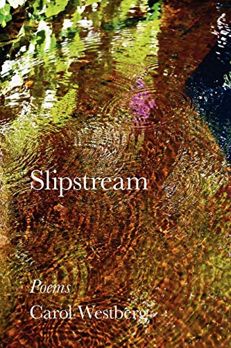 Beispielbild fr Slipstream zum Verkauf von Ezekial Books, LLC