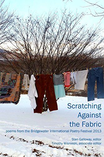 Stock image for Scratching Against the Fabric: poems from the Bridgewater International Poetry Festival 2013 for sale by Irish Booksellers