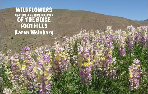 9781936408238: Wildflowers (Native and Non-Native) of the Boise Foothills