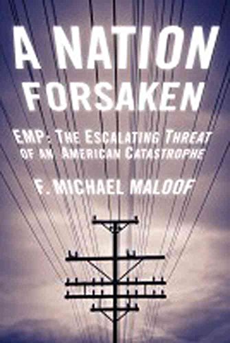 Beispielbild fr A Nation Forsaken : EMP: the Escalating Threat of an American Catastrophe zum Verkauf von Better World Books