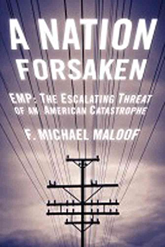 Stock image for A Nation Forsaken: EMP: The Escalating Threat of an American Catastrophe for sale by SecondSale
