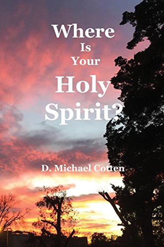 Stock image for Where Is Your Holy Spirit? for sale by Lucky's Textbooks