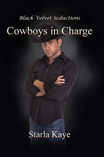 Imagen de archivo de Cowboys in Charge a la venta por Lucky's Textbooks
