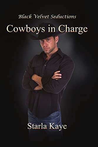 Stock image for Cowboys in Charge for sale by Lucky's Textbooks