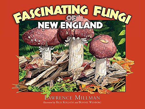 Beispielbild fr Fascinating Fungi of New England zum Verkauf von Blackwell's