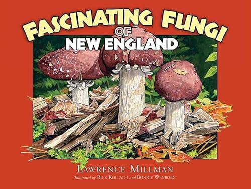 9781936571017: Fascinating Fungi of New England
