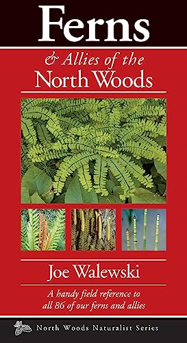 Stock image for Ferns & Allies of the North Woods: A Handy Field Reference to All 86 of Our Ferns and Allies (Naturalist Series) for sale by GF Books, Inc.