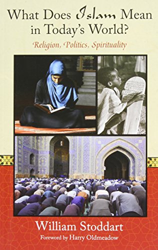 Stock image for What Does Islam Mean in Today's World? : Religion, Politics, Spirituality for sale by Better World Books