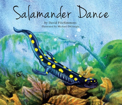 Beispielbild fr Salamander Dance zum Verkauf von Better World Books