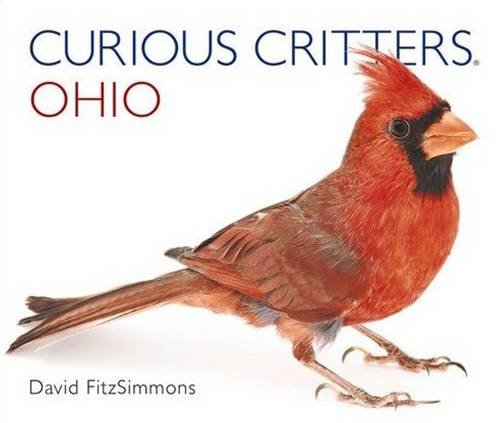 Beispielbild fr Curious Critters Ohio (Curious Critters Board Books) zum Verkauf von SecondSale