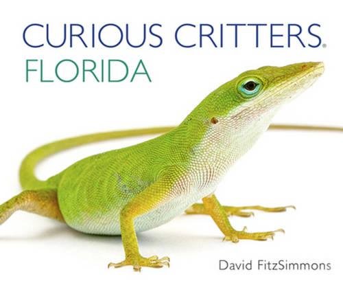 Beispielbild fr Curious Critters Florida (Curious Critters Board Books) zum Verkauf von Half Price Books Inc.