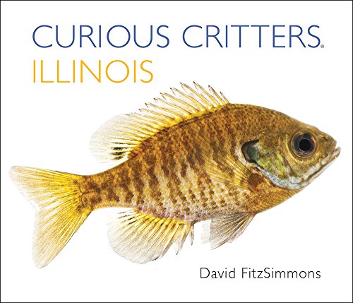 9781936607334: Curious Critters Illinois (Curious Critters Board Books)