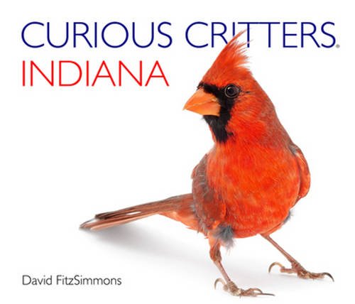 9781936607341: Curious Critters Indiana (Curious Critters Board Books)