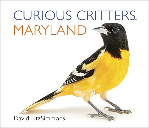 9781936607372: Curious Critters Maryland