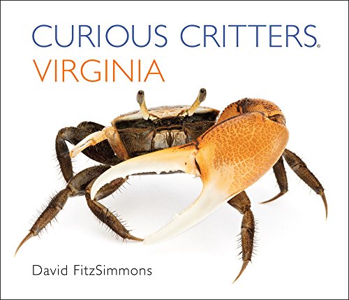 Beispielbild fr Curious Critters Virginia (Curious Critters Board Books) zum Verkauf von HPB-Red