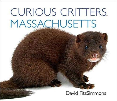 Beispielbild fr Curious Critters Massachusetts zum Verkauf von Better World Books