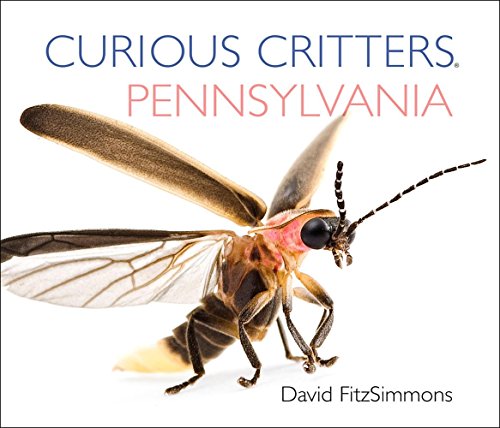 Beispielbild fr Curious Critters Pennsylvania (Curious Critters Board Books) zum Verkauf von Reliant Bookstore