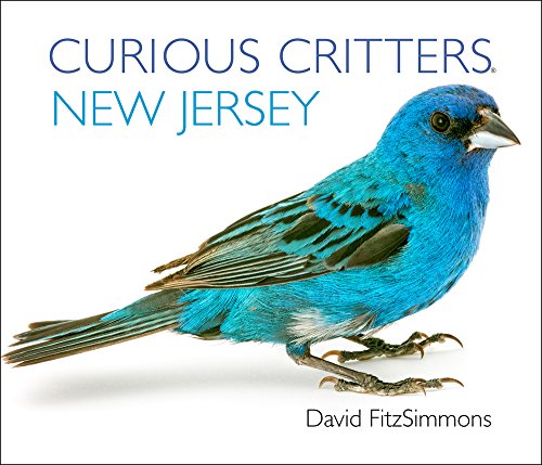 Beispielbild fr Curious Critters New Jersey (Curious Critters Board Books) zum Verkauf von SecondSale