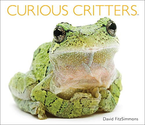 Beispielbild fr Curious Critters zum Verkauf von Gulf Coast Books