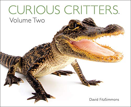 Beispielbild fr Curious Critters zum Verkauf von Better World Books