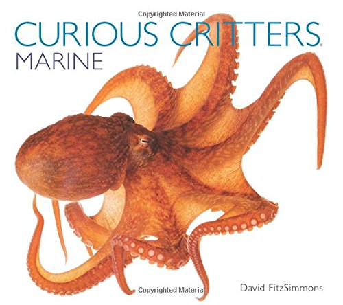 Beispielbild fr Curious Critters : Marine zum Verkauf von Better World Books