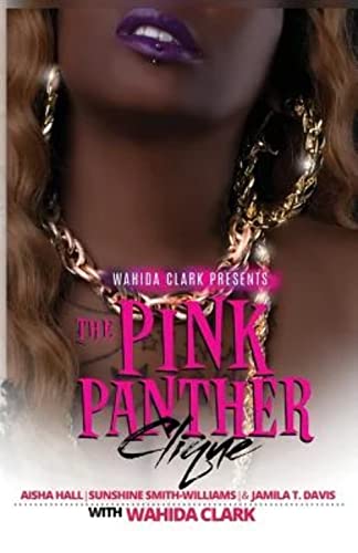 Imagen de archivo de The Pink Panther Clique a la venta por Better World Books