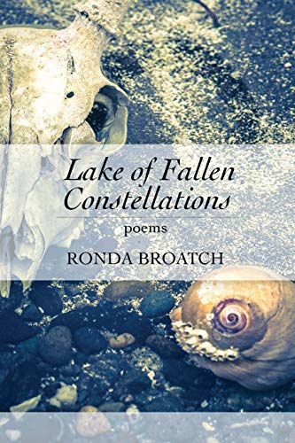 Stock image for Lake of Fallen Constellations for sale by SecondSale