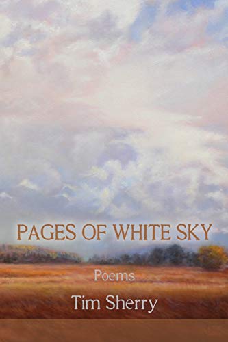 Imagen de archivo de Pages of White Sky a la venta por GreatBookPrices