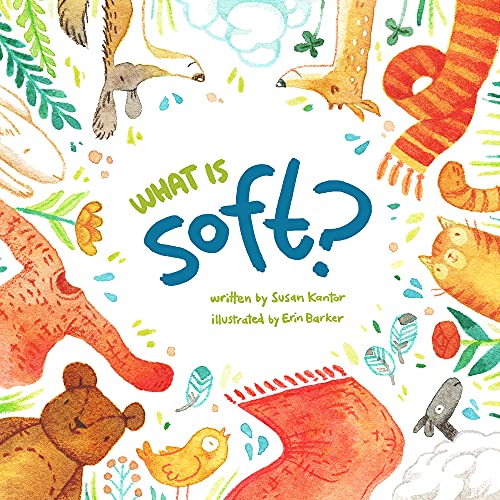 Imagen de archivo de What is Soft? a la venta por Gulf Coast Books