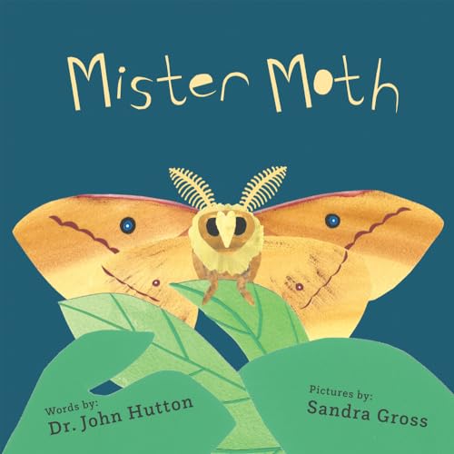 Imagen de archivo de Mister Moth a la venta por GF Books, Inc.
