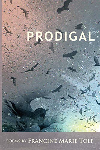 Stock image for Prodigal for sale by Eat My Words Books