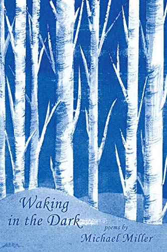 Beispielbild fr Waking in the Dark zum Verkauf von AwesomeBooks