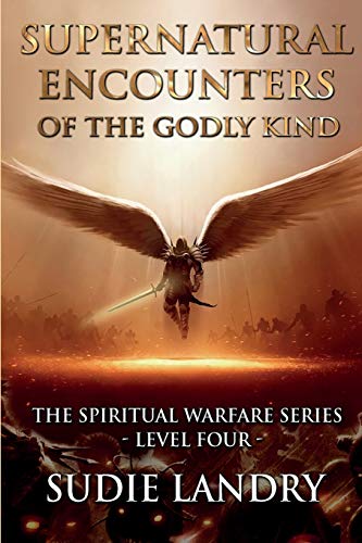 Imagen de archivo de Supernatural Encounters of the Godly Kind - The Spiritual Warfare Series - Level Four a la venta por Lucky's Textbooks