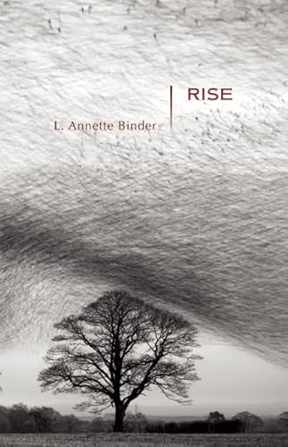 Beispielbild fr Rise : Stories zum Verkauf von Better World Books