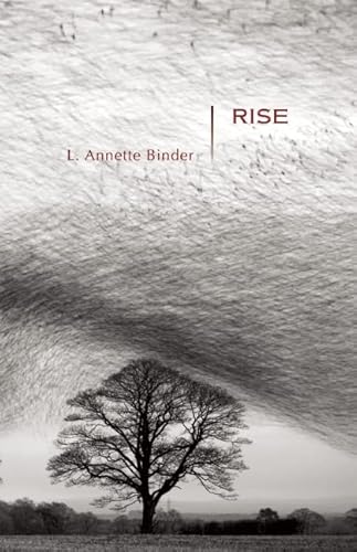 Imagen de archivo de Rise : Stories a la venta por Better World Books