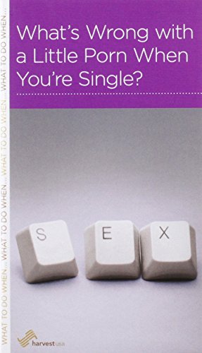 9781936768936: What's Wrong with a Little Porn When You're Single?