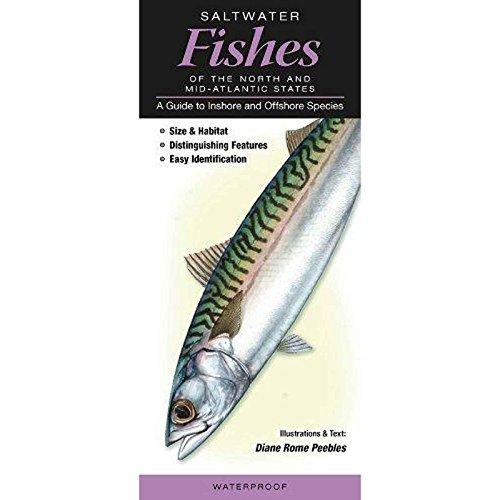 Beispielbild fr Saltwater Fishes of the Northern and Mid-Atlantic States : A Guide to Common and Notable Species zum Verkauf von Better World Books