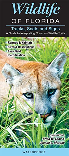 Stock image for Tracks, Scats & Signs of Florida Wildlife: A Guide to Interpreting Common Wildlife Trails (Quick Reference Guides) for sale by HPB-Ruby